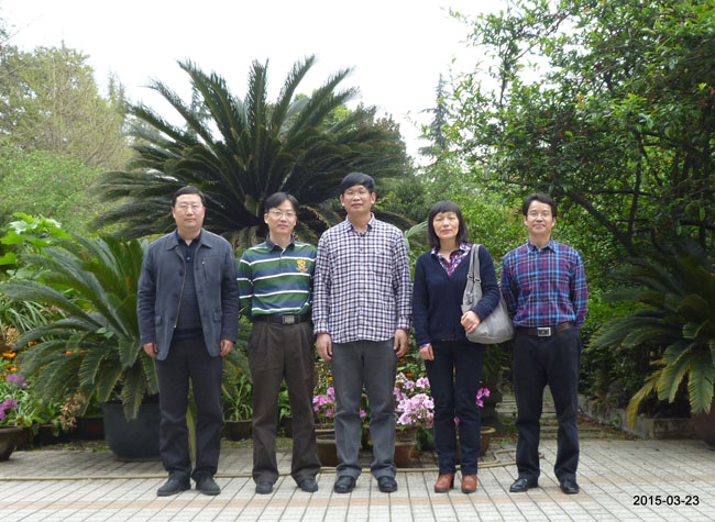 365英国上市集团